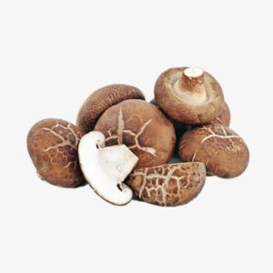 delicious shiitake mushrooms from aquaponical.co