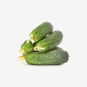 delicious cucumbers from aquaponical.co