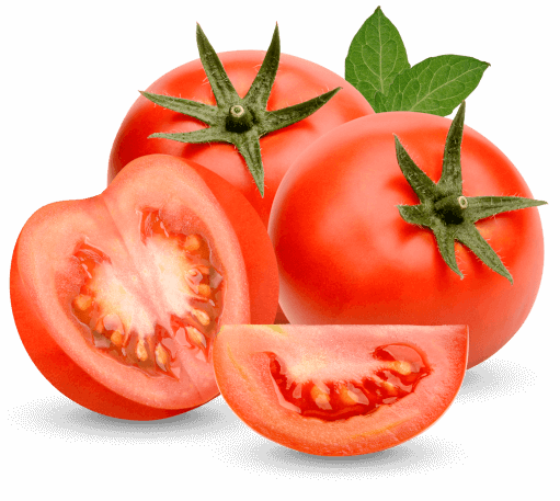 Premium tomatoes from aquaponical.co